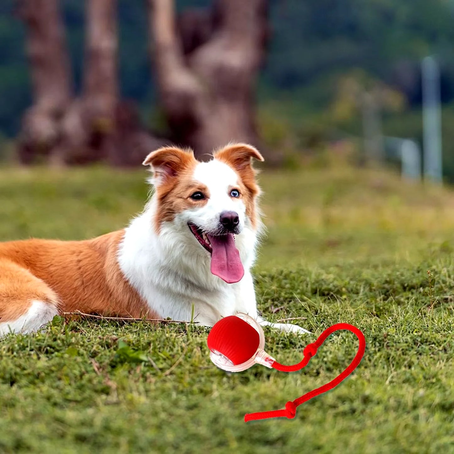 Interactive Rechargeable Rolling Ball Toy