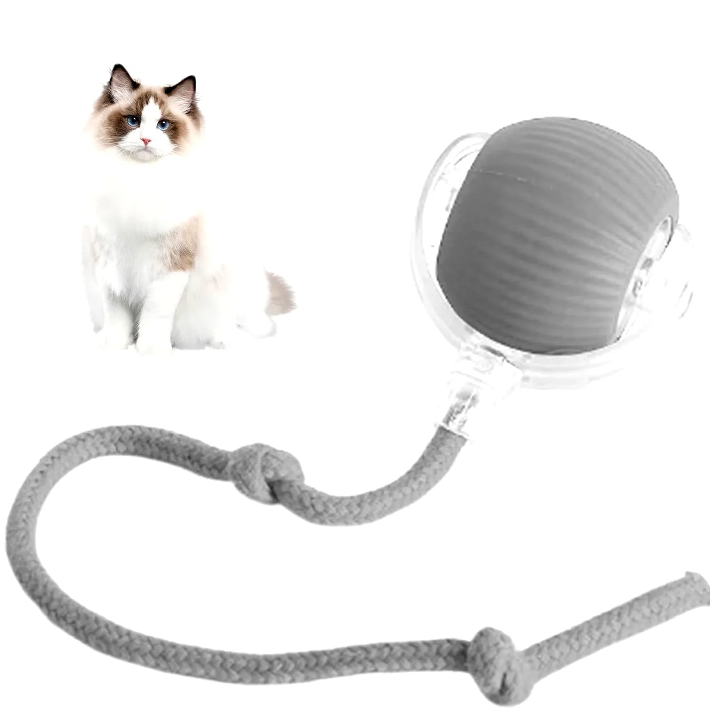 Interactive Rechargeable Rolling Ball Toy