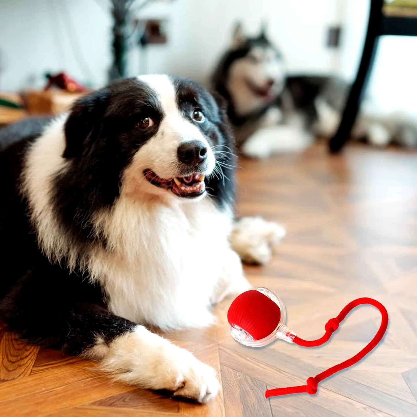 Interactive Rechargeable Rolling Ball Toy