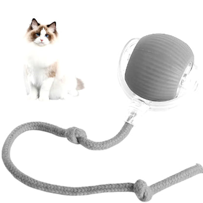 Interactive Rechargeable Rolling Ball Toy