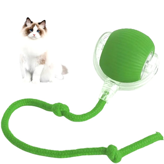 Interactive Rechargeable Rolling Ball Toy
